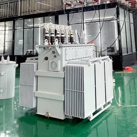 250kVA 10kV 400V Oil Immersed Transformer Electrical Transformers 250kVA 10kV 400V Oil Immersed Transformer Electrical Transformers