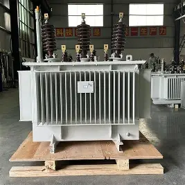 20kV 400V 100kVA/125kVA/160kVA Oil Immersed Distribution Transformers 20kV 400V 100kVA/125kVA/160kVA Oil Immersed Distribution Transformers