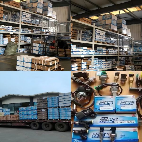 WP10.310E41 WP10.310E42 WP10.340E32 Truck Diesel Engine Original Replacement Parts